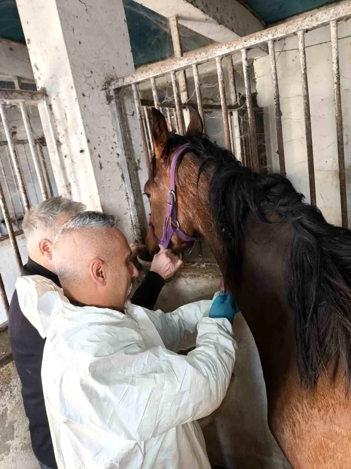 Weeping Tree Sağlık Kontrolünden Geçti