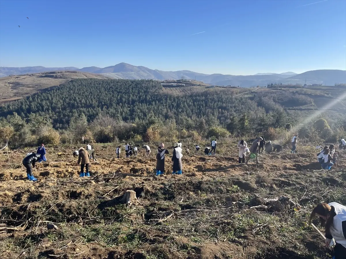 Samsun\'da 350 Fidan Dikildi