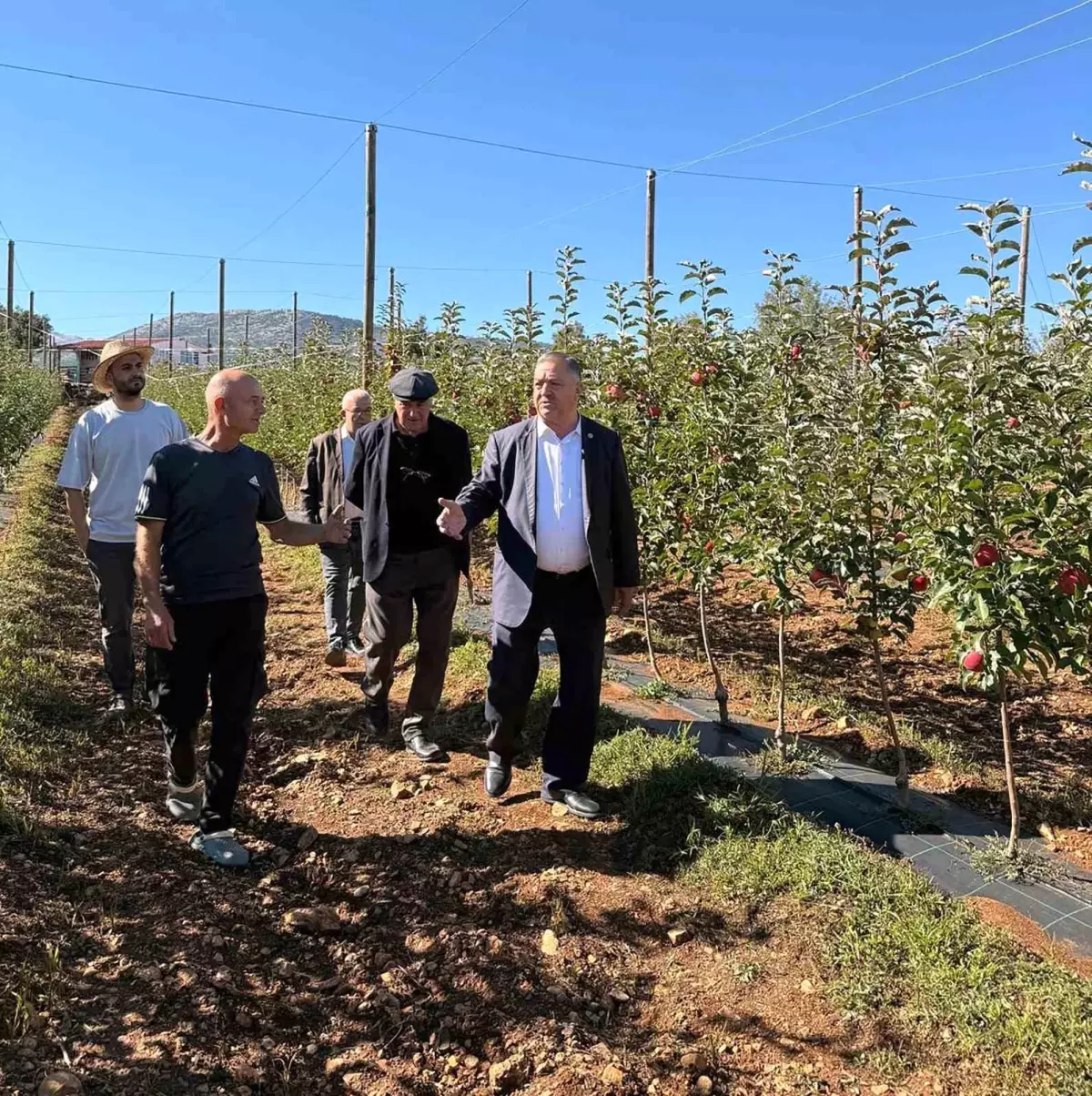 Çiftçi Kayıt Sistemi için Son Tarih Hatırlatması