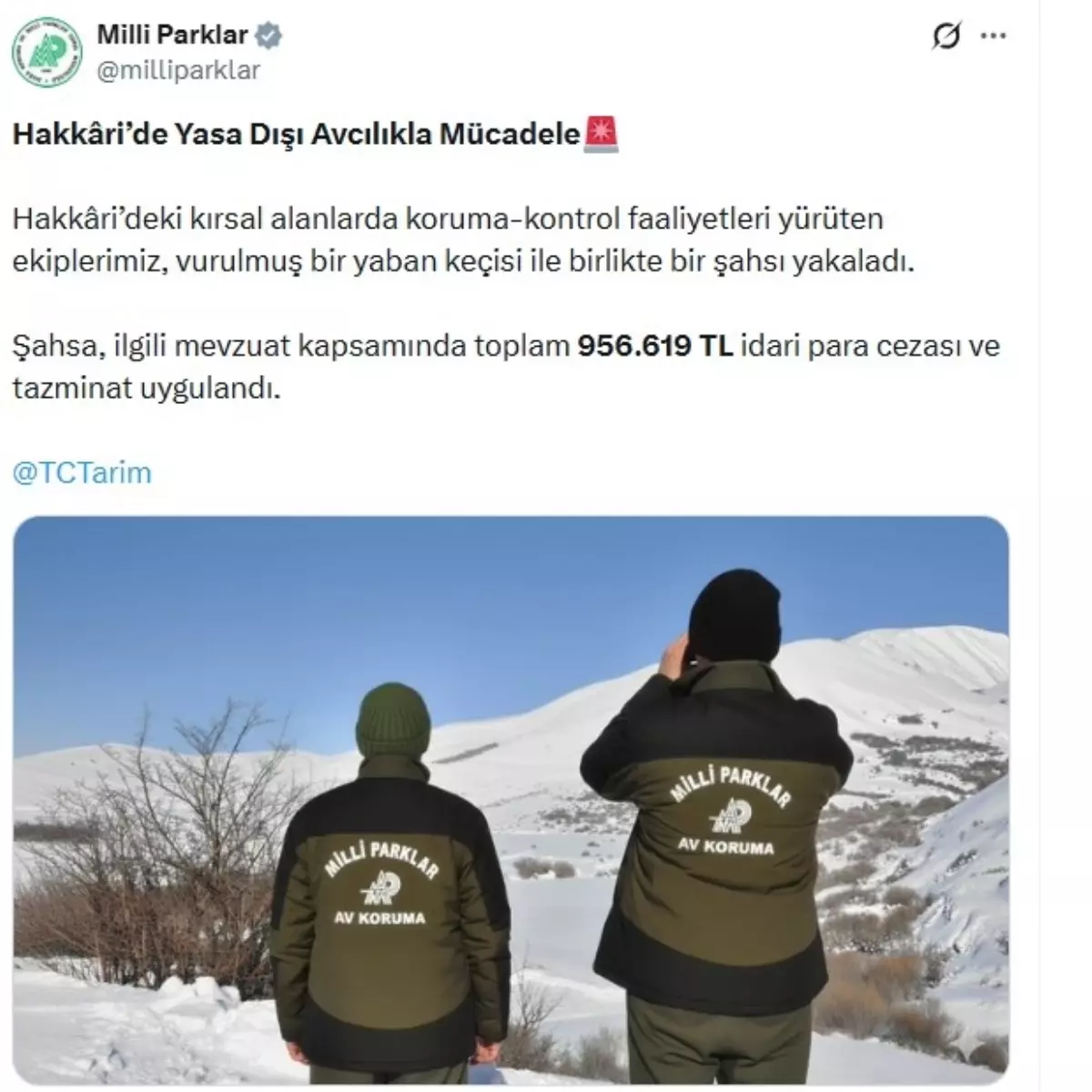 Yaban Keçisini Avlayan Avcıya Rekor Ceza