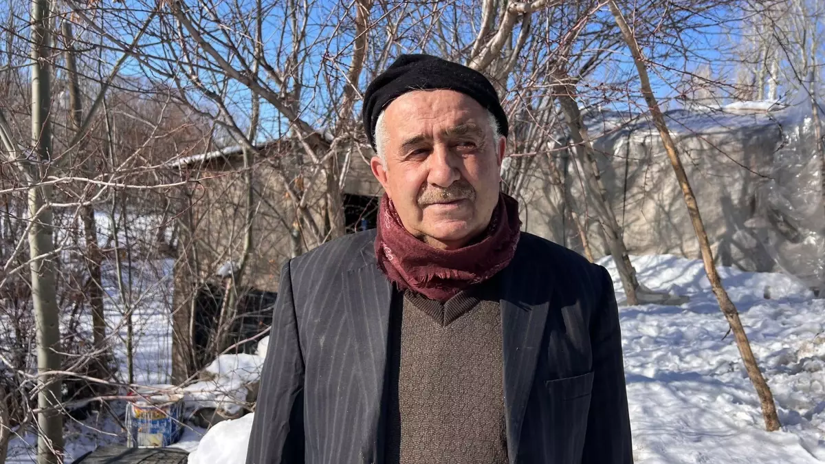 Yüksekova\'da Leylek Ailesi Büyüyor