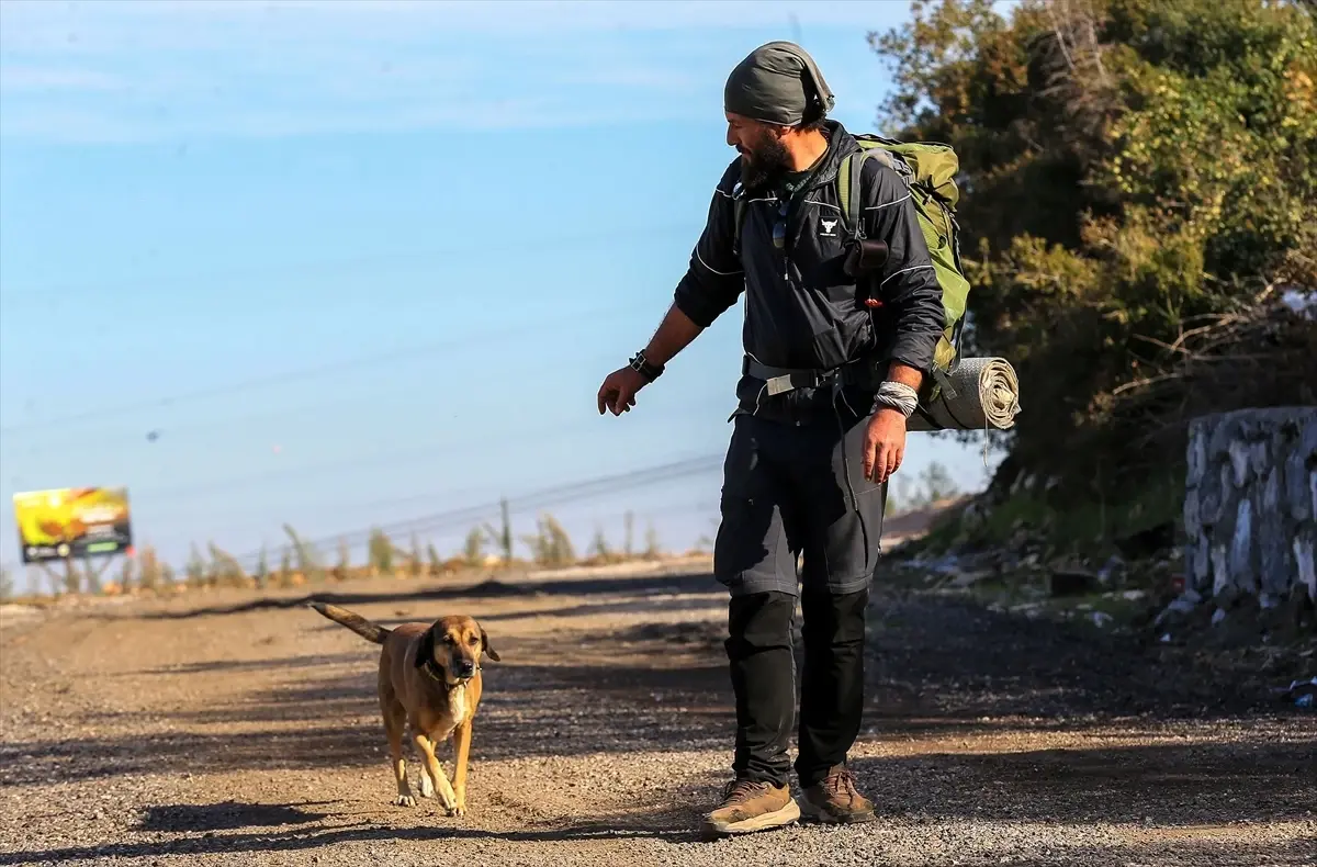 Seyyah Ömer\'in Orman Yolculuğu