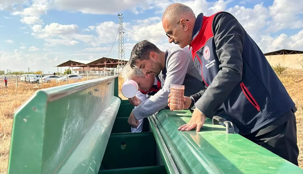 Kuraklığa Dayanıklı Yerli Tohumlar Ekiyorlar