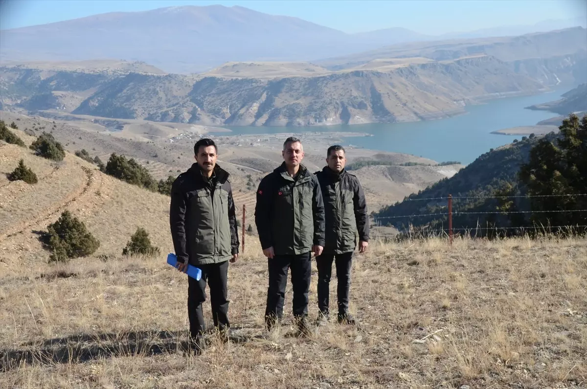 Doğu Anadolu\'da 9 Milyon Fidan ve Tohum Toprakla Buluşturuldu