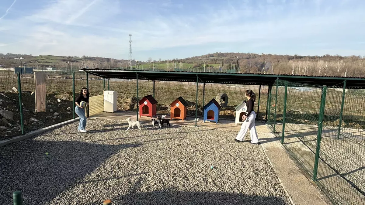 Bartın Üniversitesi\'nde Hayvan Doğal Yaşam Alanı Kuruldu