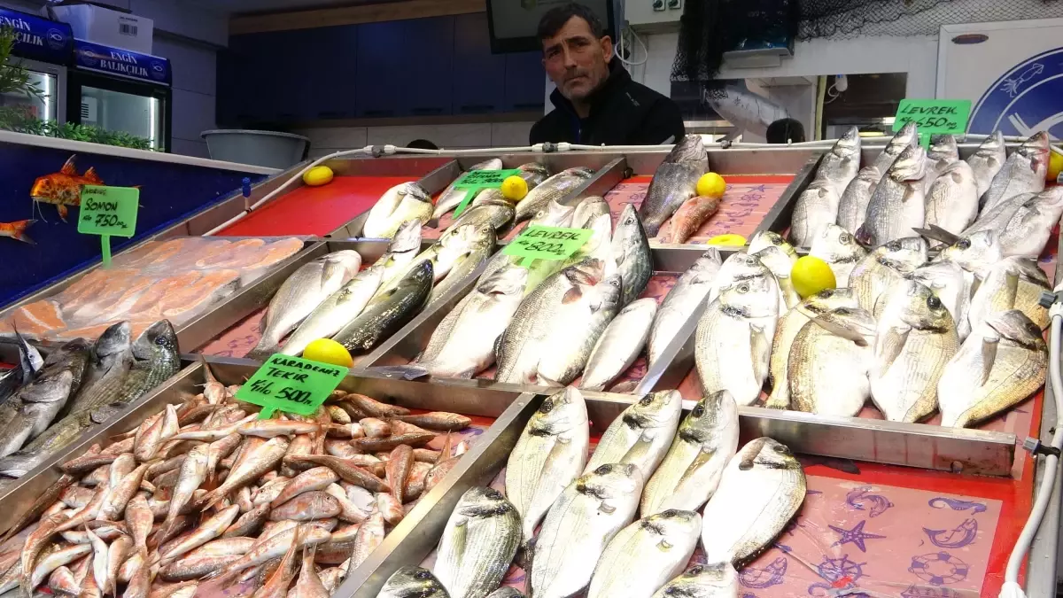 Hamsi Karadeniz\'den Gürcistan\'a Göçtü