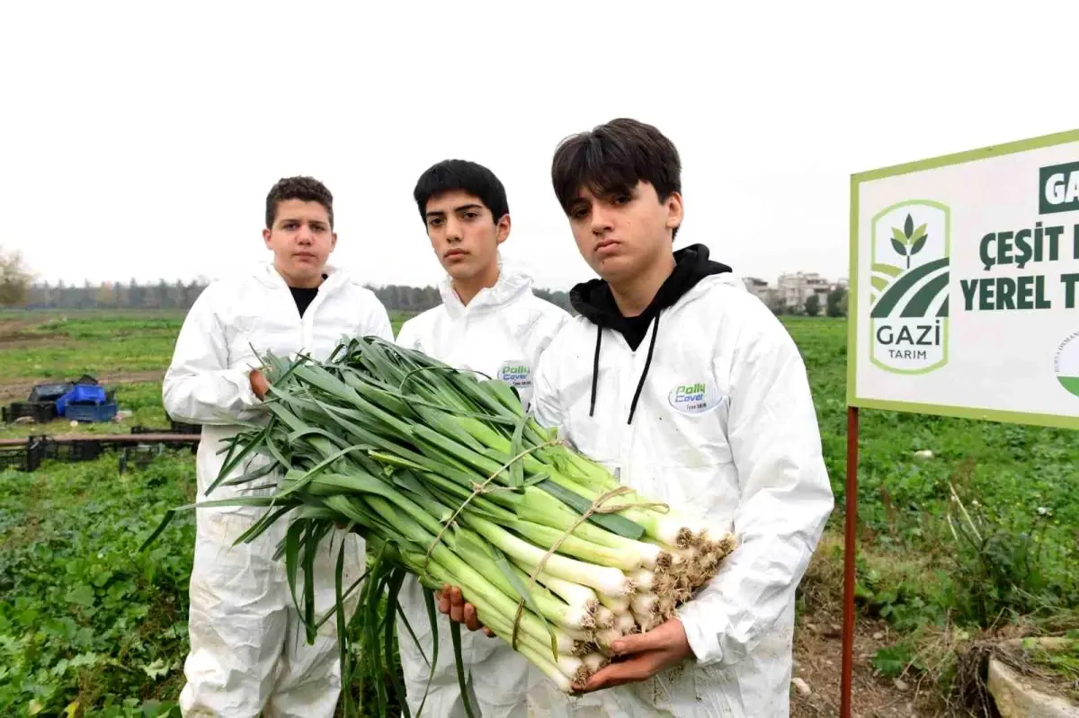 Osmangazi\'de pırasa hasadıyla doğallık sofralara taşınıyor