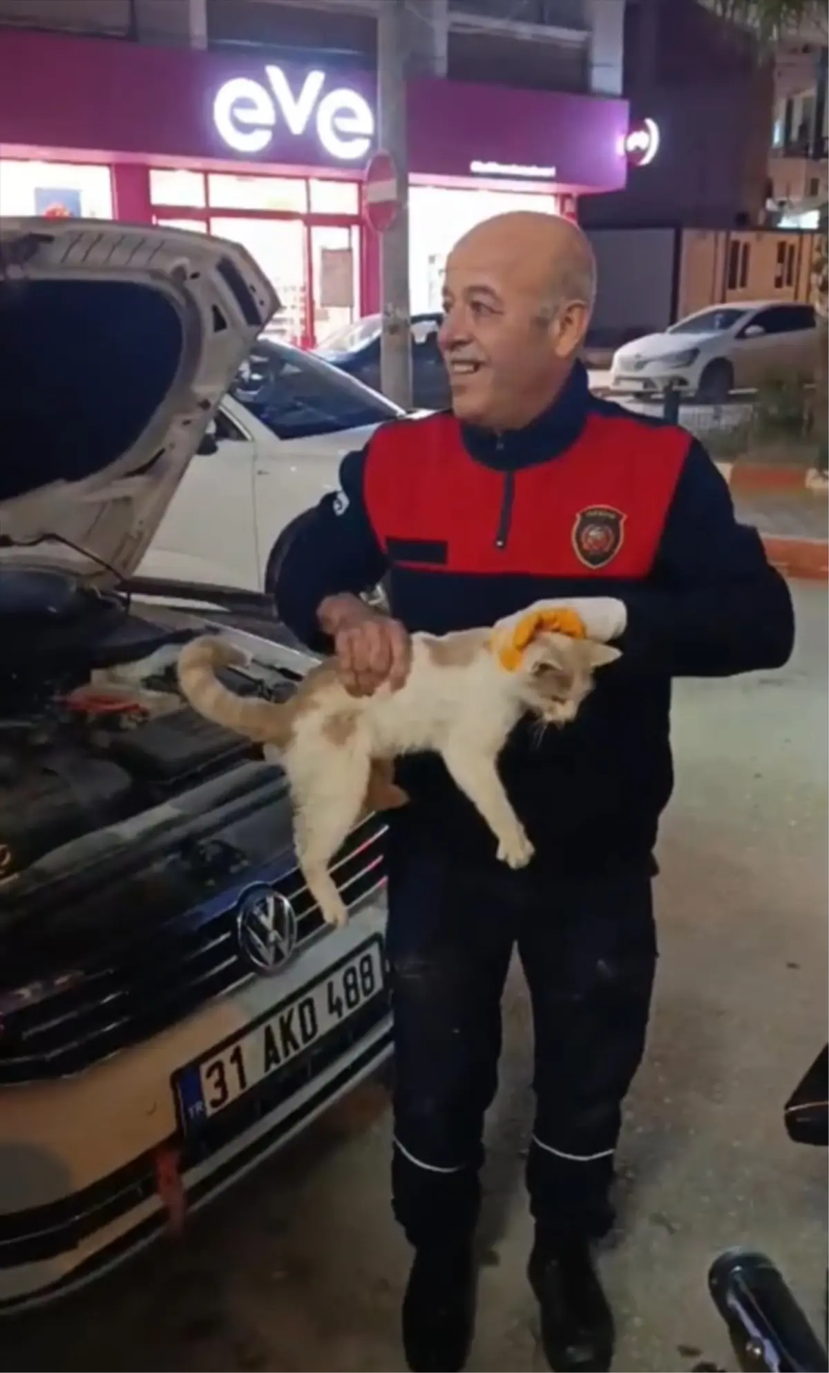Otomobilde Sıkışan Kedi Kurtarıldı