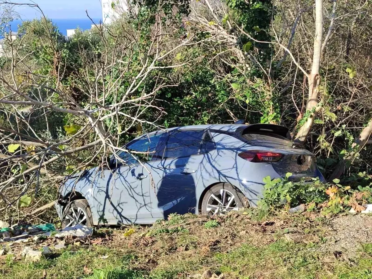 Sinop\'ta otomobil ağaçlık alana devrildi