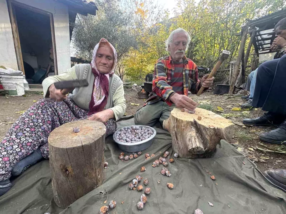 İbradı\'da Andız Pekmezi Zenginliği