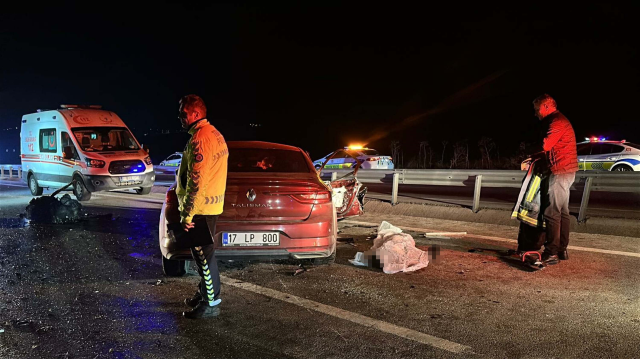 Çanakkale'de katliam gibi kazada kahreden detay