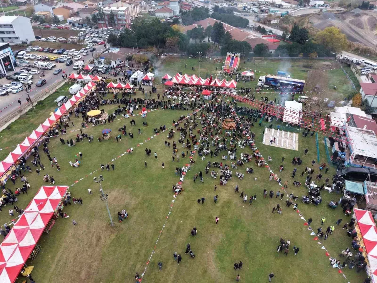 Tekirdağ\'da Hamsi Festivali Coşkusu