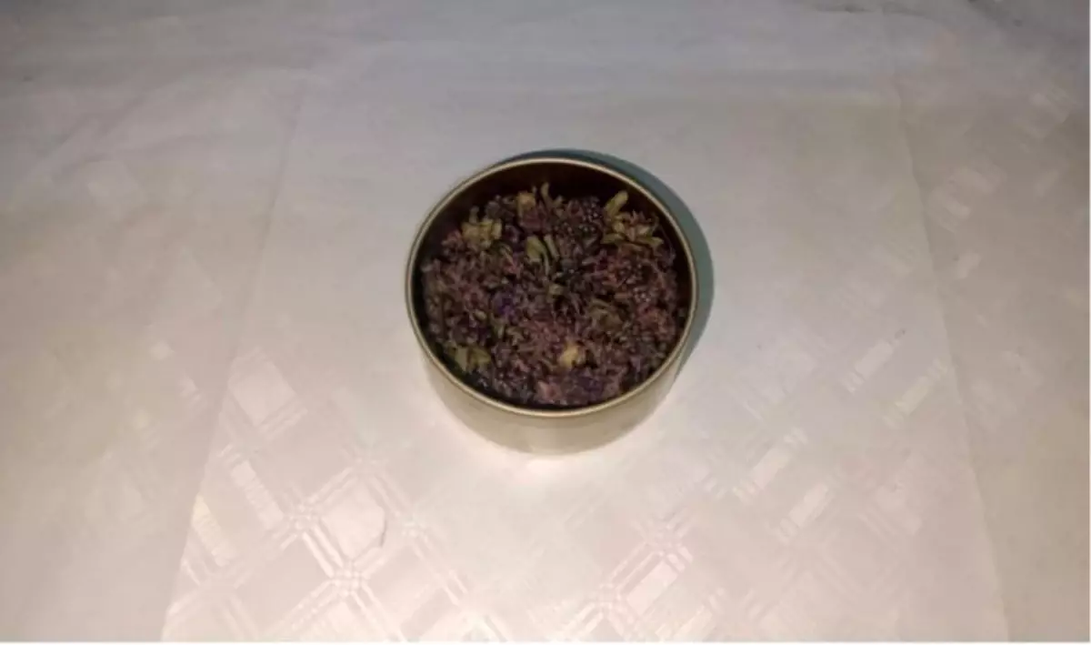 Yayla Çayı Çiçeği Kaçakçılığına Operasyon