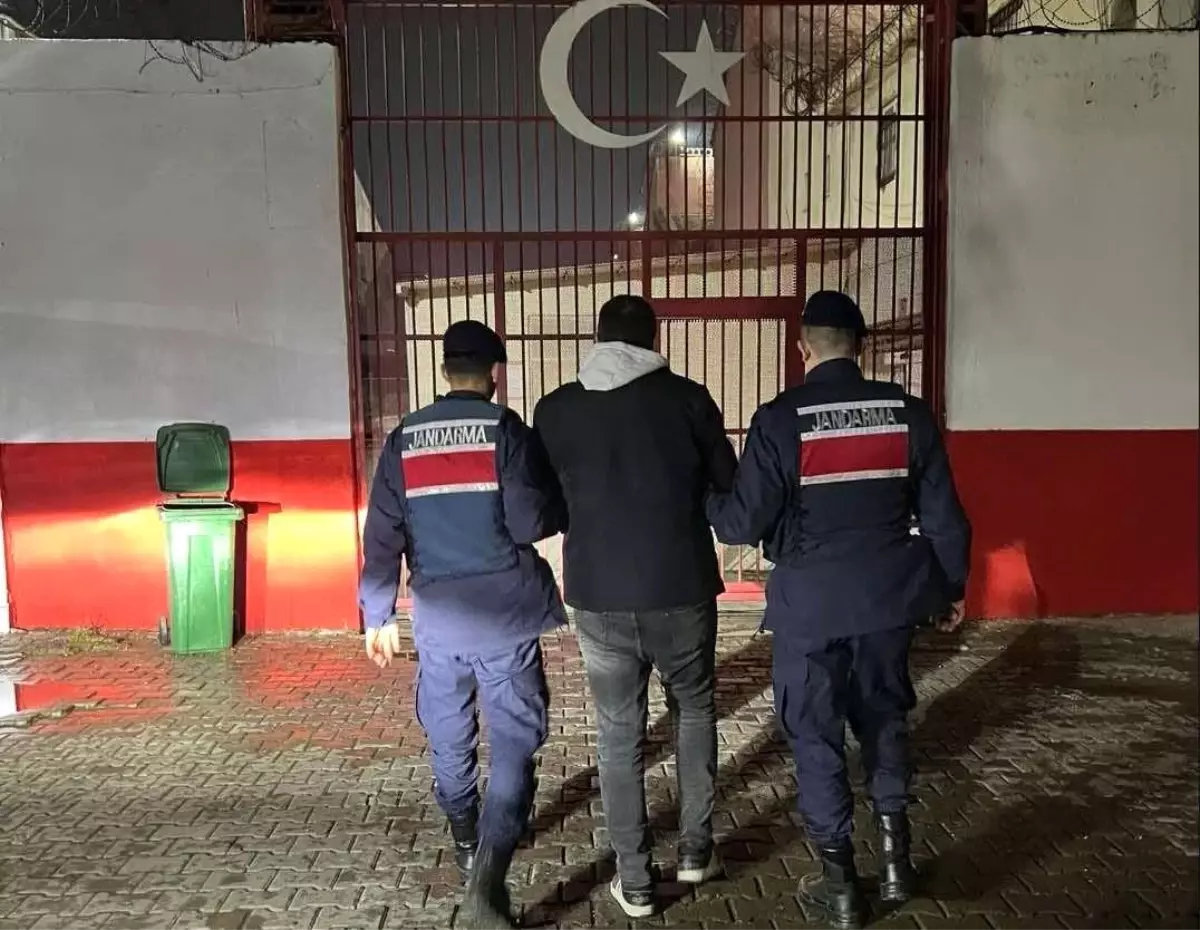 Define Ararken Mahsur Kaldı, Ölü Bulundu