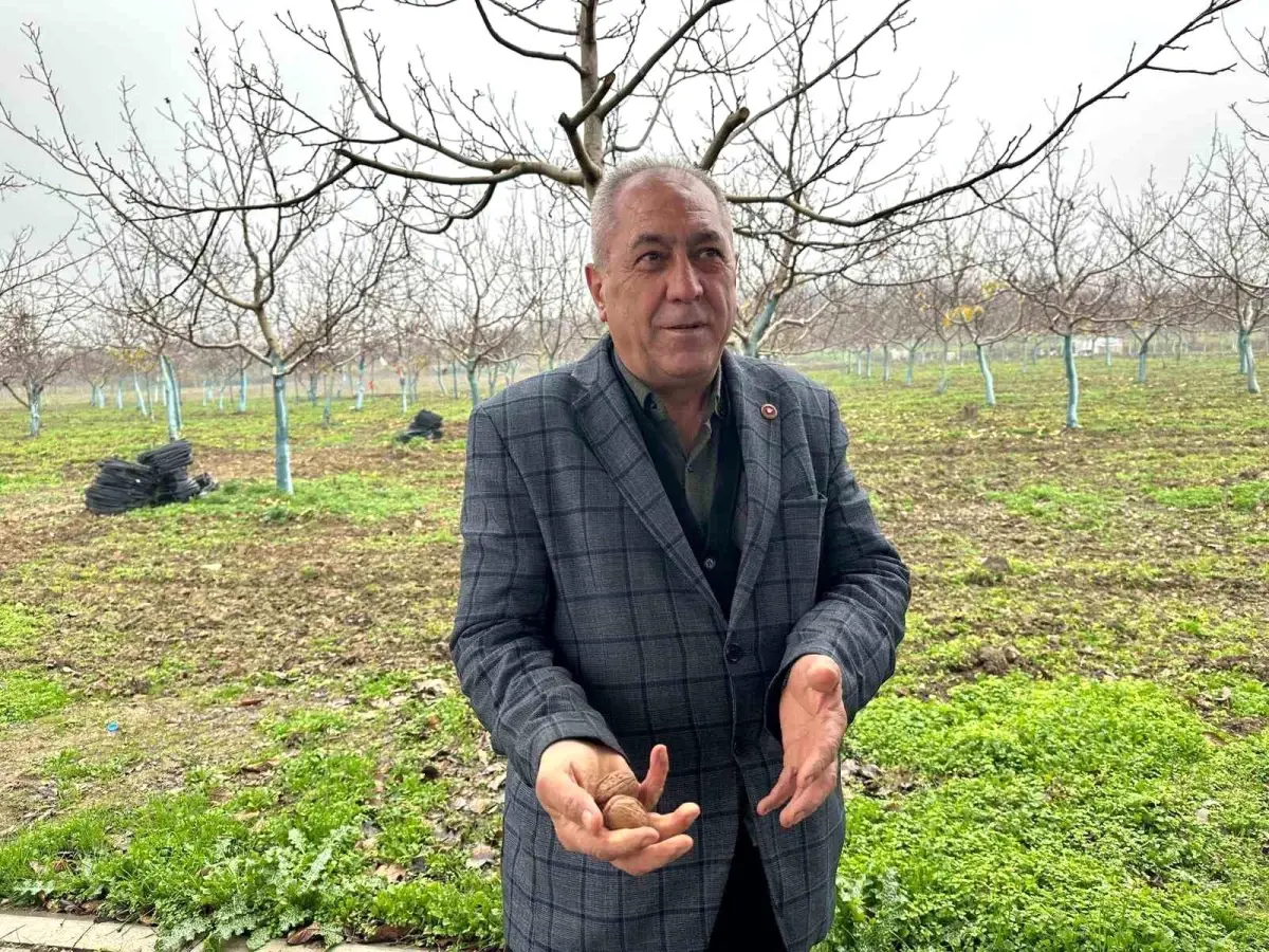 Bir köyü zengin eden ürün! Doktorlar, iş insanları buraya akın ediyor