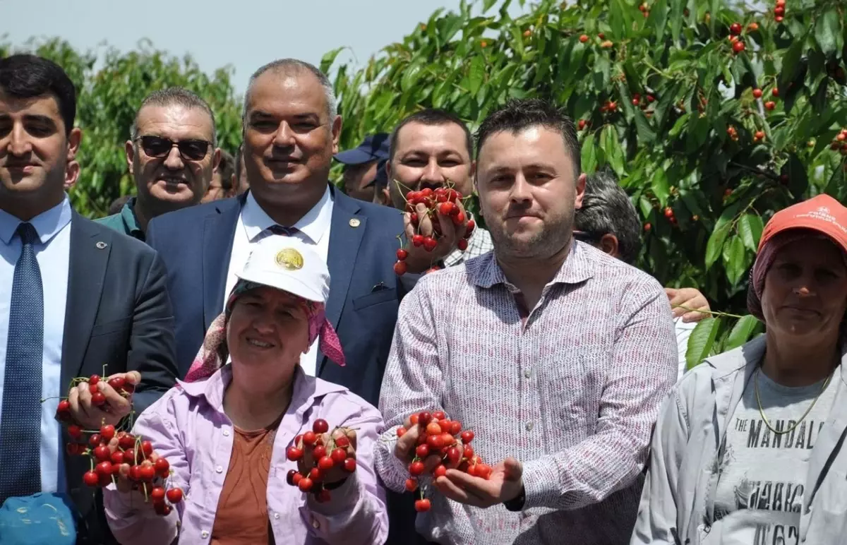 Çeribaşı Kirazı Coğrafi İşaret Aldı