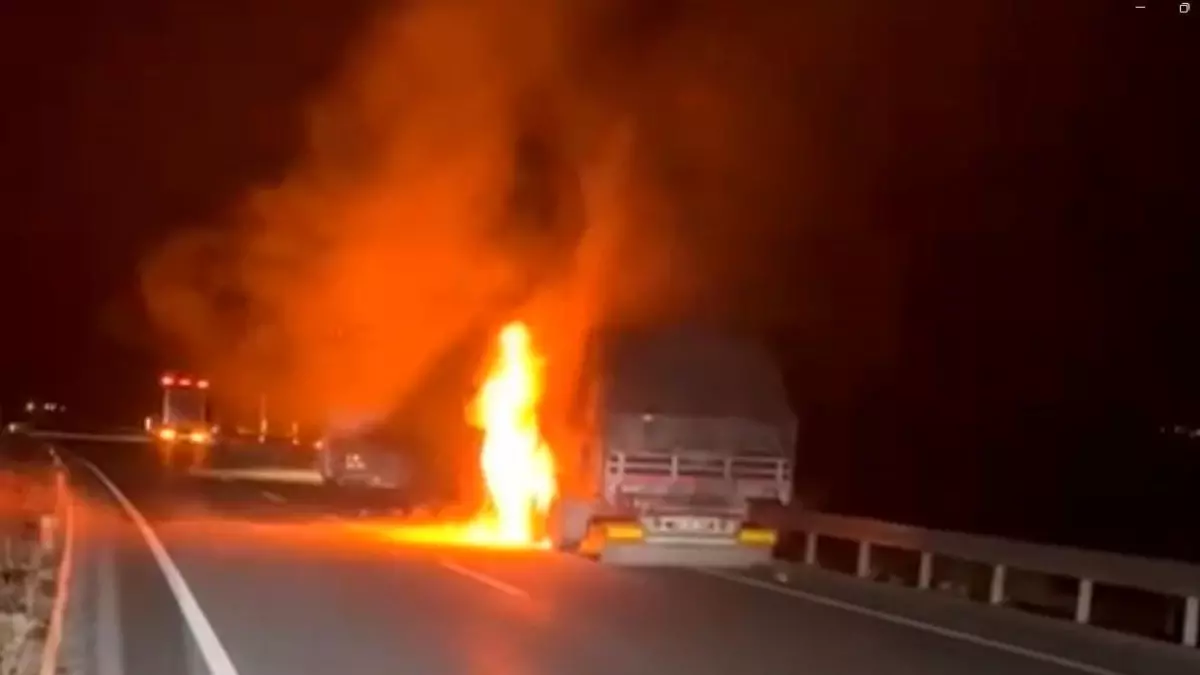 Erzincan\'da TIR Yangını Paniği