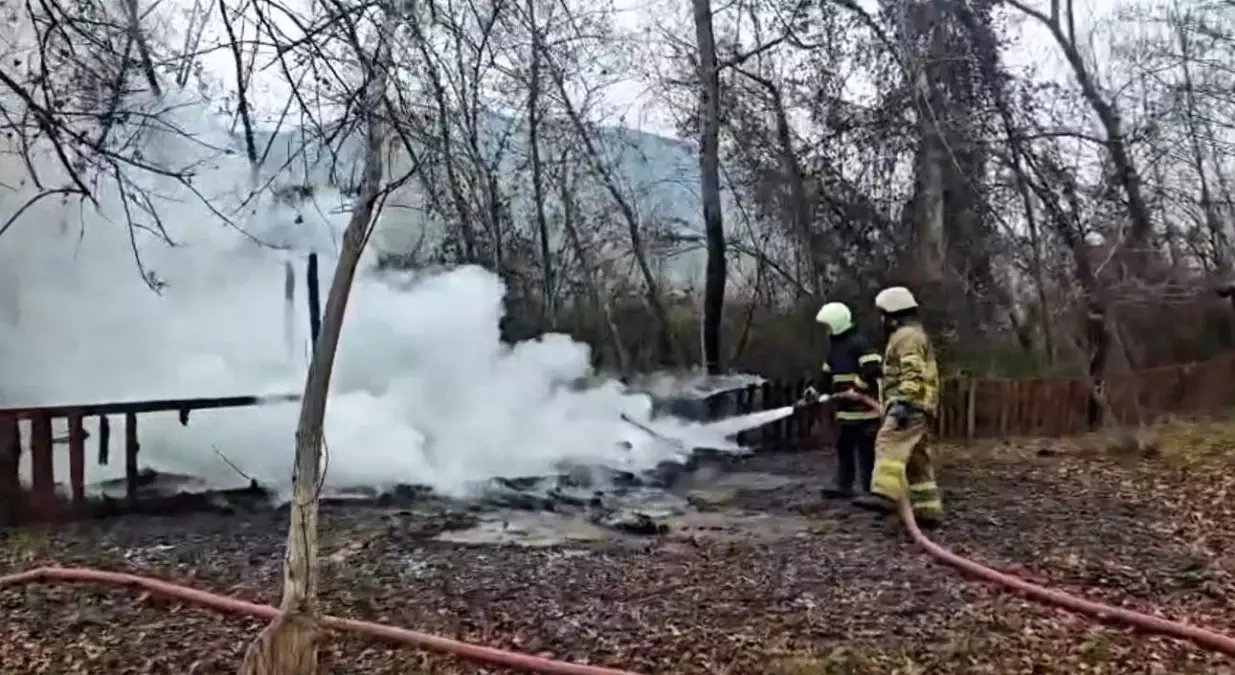 Kamelya yangında küle döndü