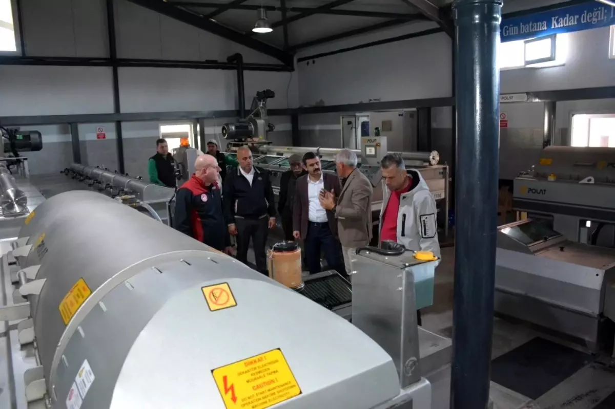 Köyceğiz\'de Zeytinyağı Üretimi İncelendi