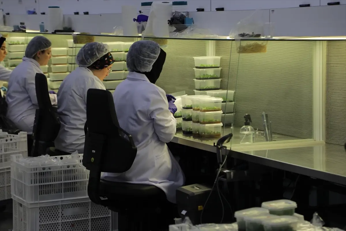 SATSO Doku Kültürü Laboratuvarları Tanıtıldı