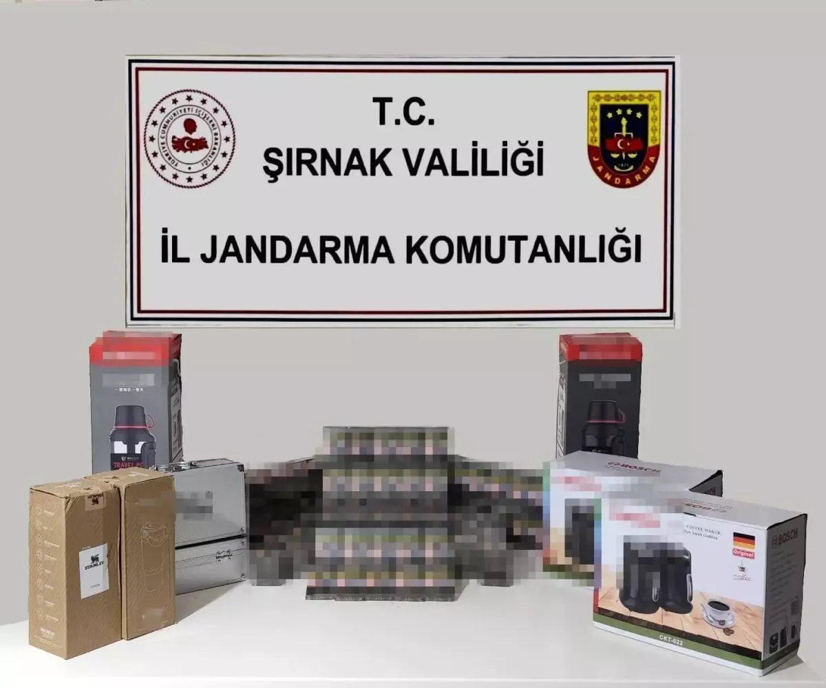 Şırnak\'ta 34 Aranan Şahıs Yakalandı