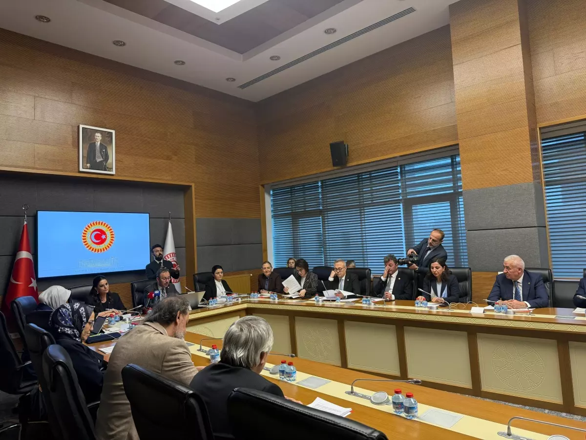 Engelli Bireyler İçin Toplumsal Bilinç