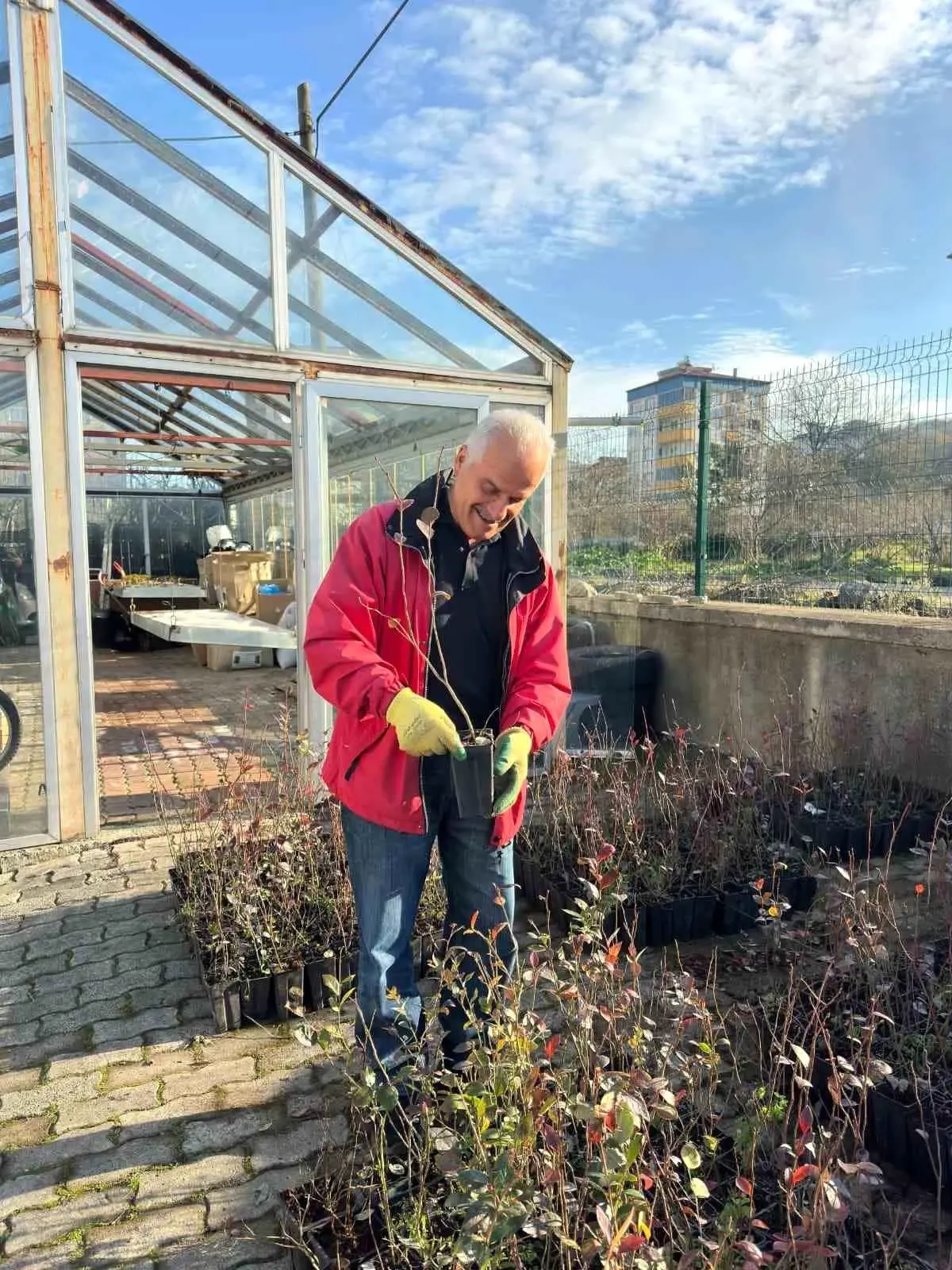 Giresun\'da Mavi Yemiş Projesi Başladı