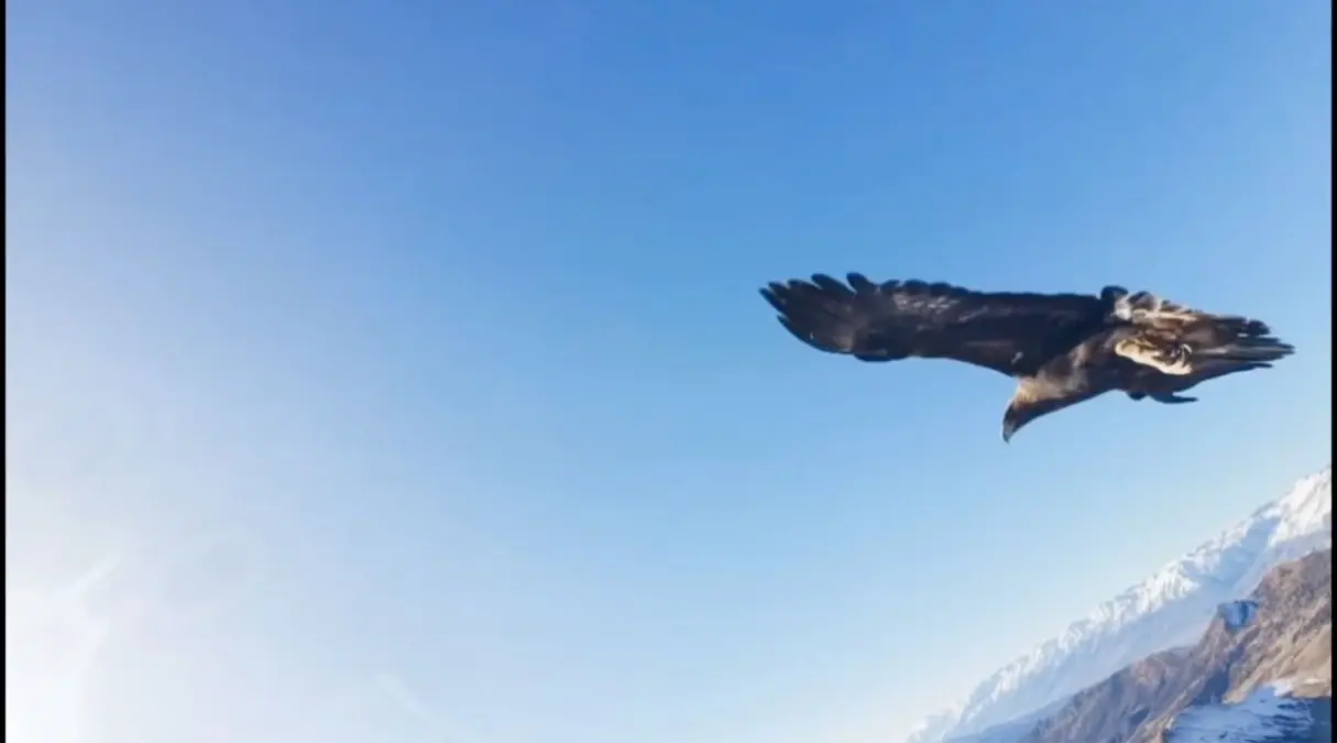 Kartal Dronu Kapıp Zirveye Bıraktı