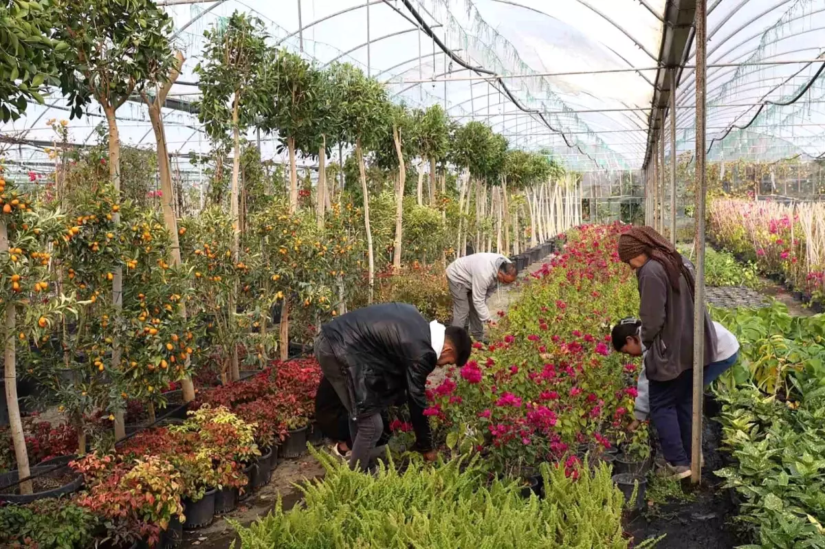 Muğla Büyükşehir\'den yerel kalkınmaya katkı