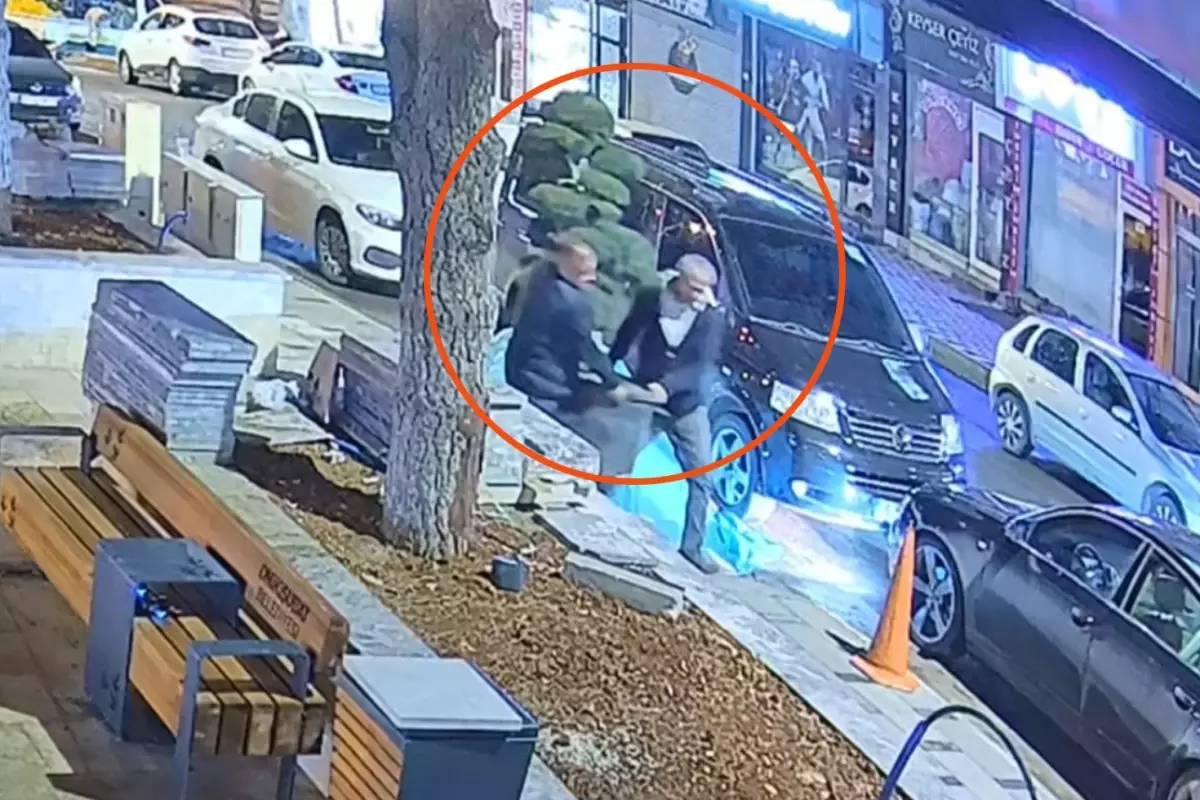 Parktaki ağacı otomobile yükleyip götürdüler