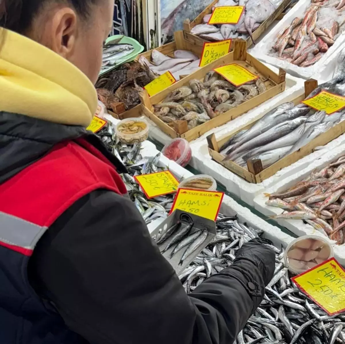 Tekirdağ\'da Balık Satış Yerlerine Denetim!