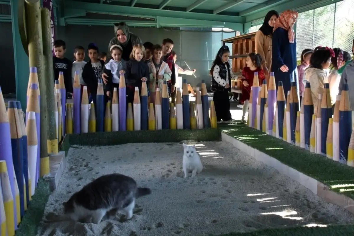 Türkiye\'de ilk olan \'Küçük Dostlar Ambulansı\' ile 10 bin 280 can kurtarıldı