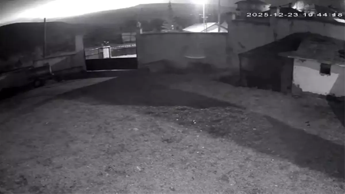 Libya Genelkurmay Başkanı\'nın Uçağı Düştü