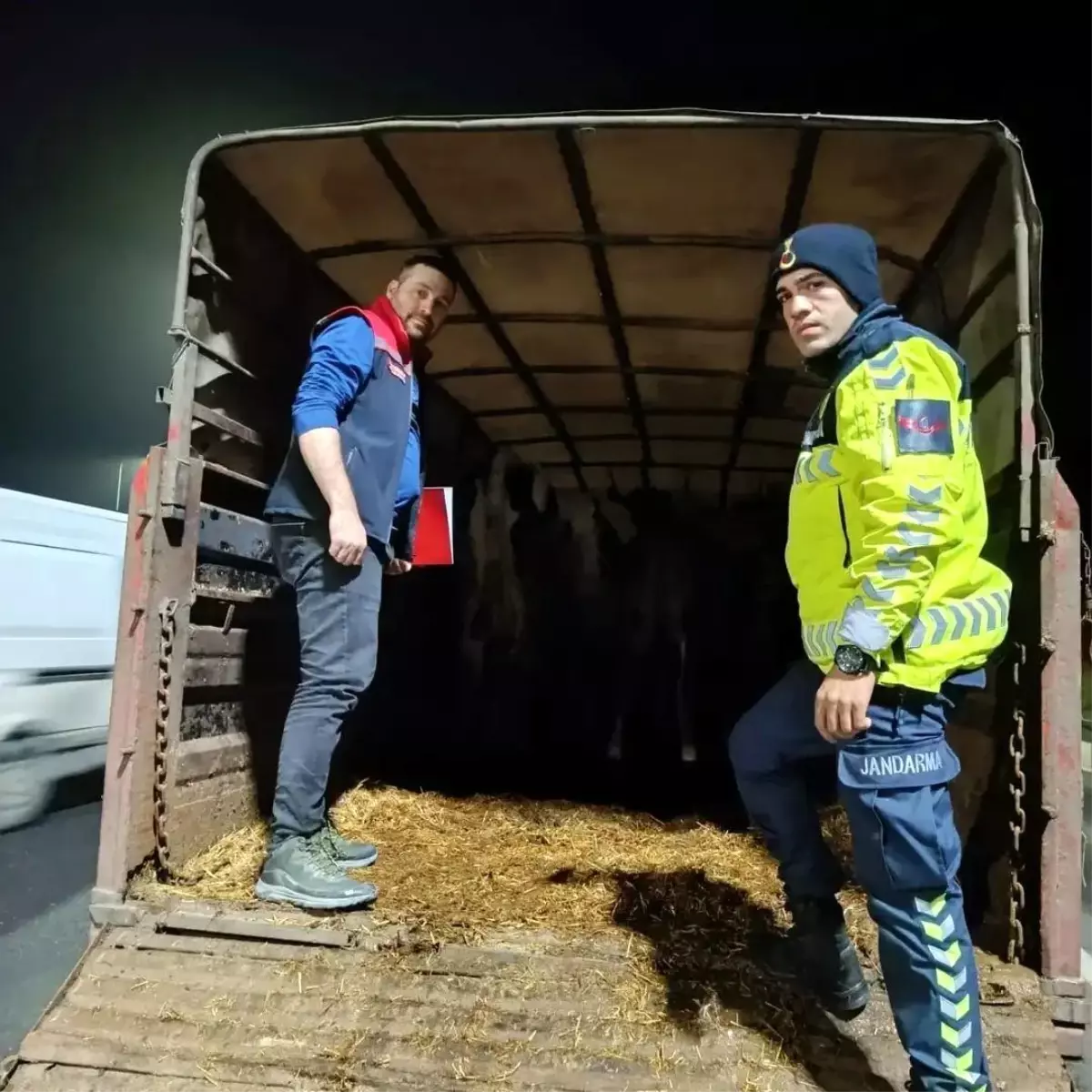 Mevzuata Aykırı Hayvan Sevkine Cezalar