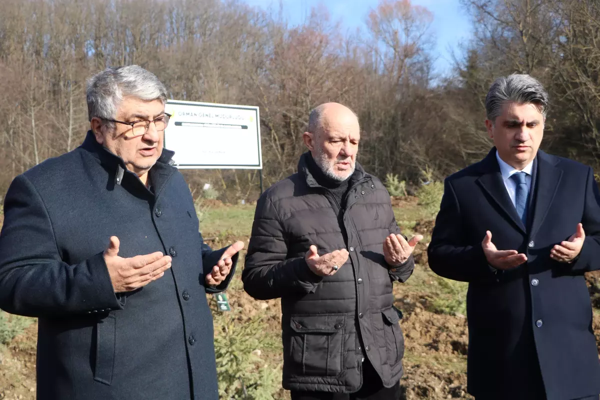 Yangın Faciasında Kaybedilenler İçin Hatıra Ormanı