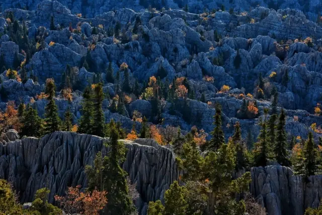 Giden geri dönmüyor! Türkiye'nin en esrarengiz bölgesi