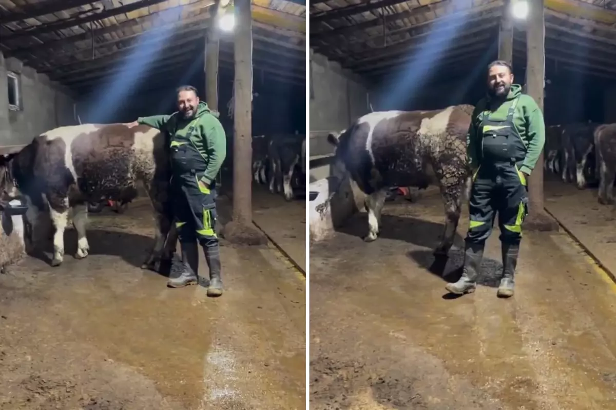 Hayvanıyla video çekip asgari ücretle ilgili yaptığı kıyasa tepki var