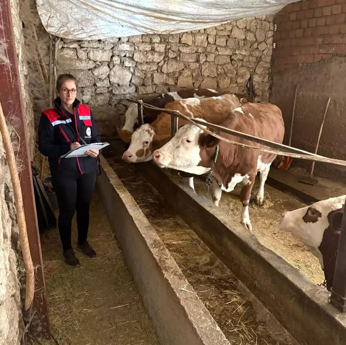 Afyon\'da Hayvancılık Denetimleri Başladı