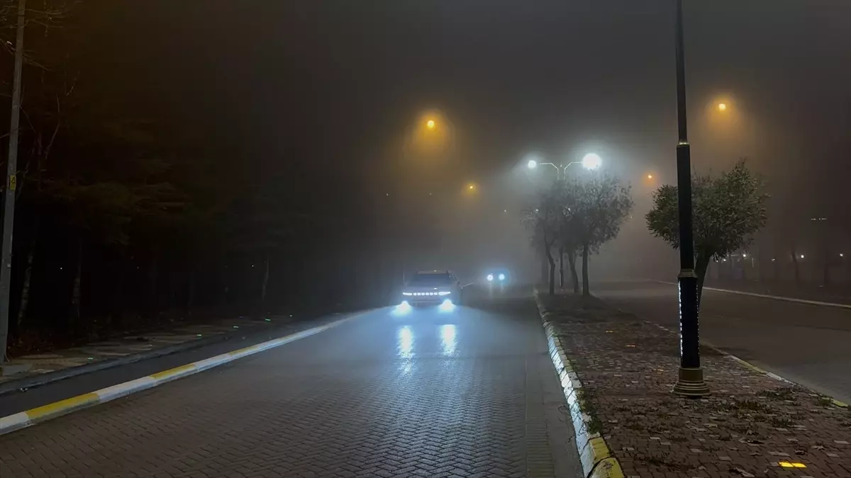 Isparta\'da Sis Etkili Oldu