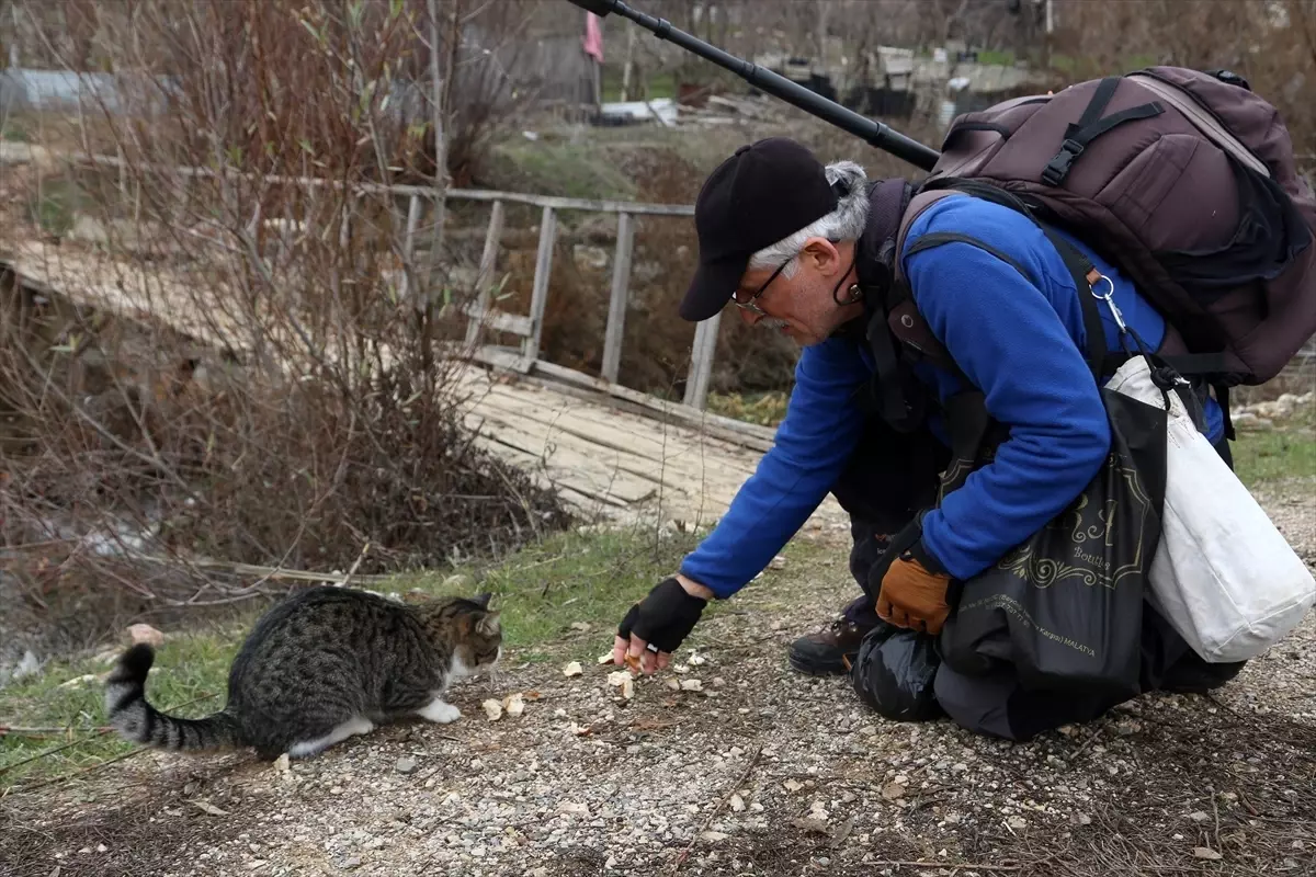Yaban Hayvanlarına Yem Bırakıldı