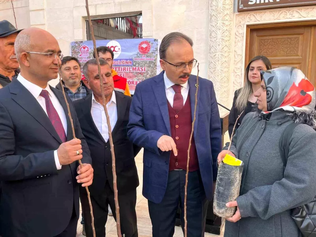 Siirt\'te Fıstık ve Trabzon Hurması Dağıtımı