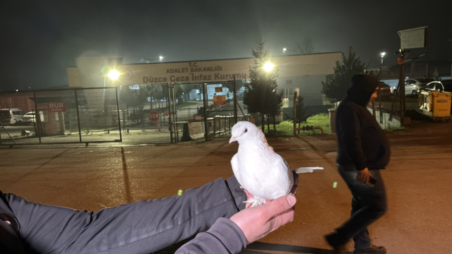 11'inci Yargı Paketi sonrası cezaevleri önünde bayram havası esti