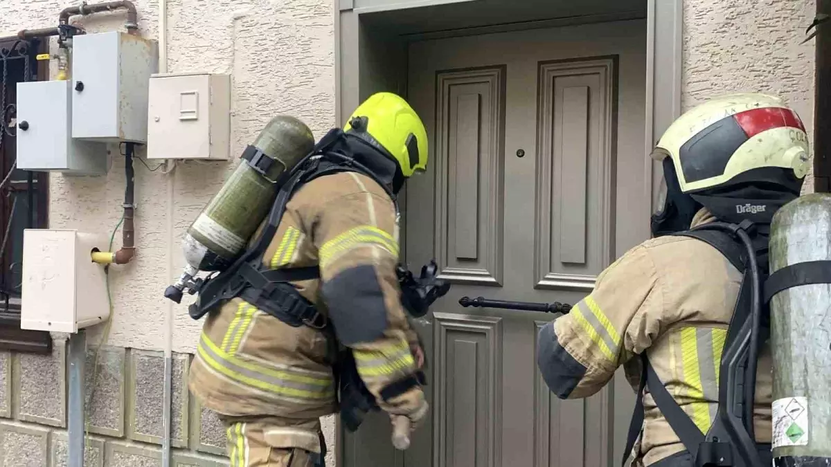 Bursa\'da Akvaryum Yangını