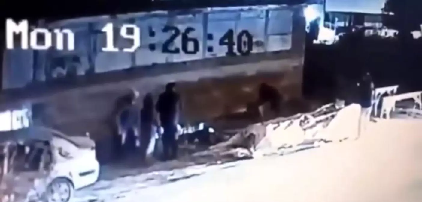 Bursa\'da Başka Bir Köpek Saldırısı