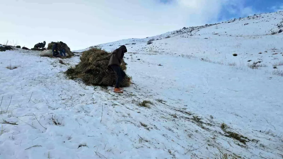 Kızakla Kış Hazırlığı