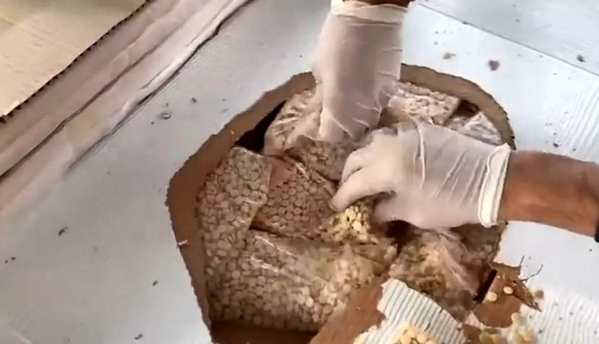 Kasım\'da Uyuşturucu Operasyonları Rekor Kırdı