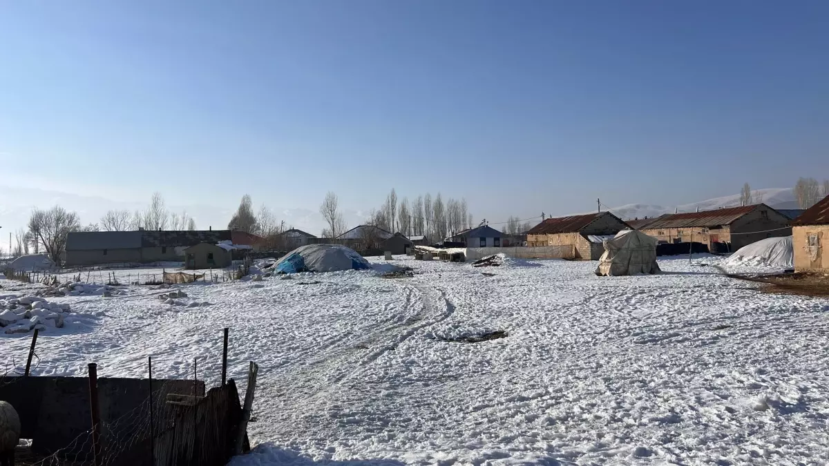 Hakkari'de Soğuk, Şemdinli'de Bahar Havası