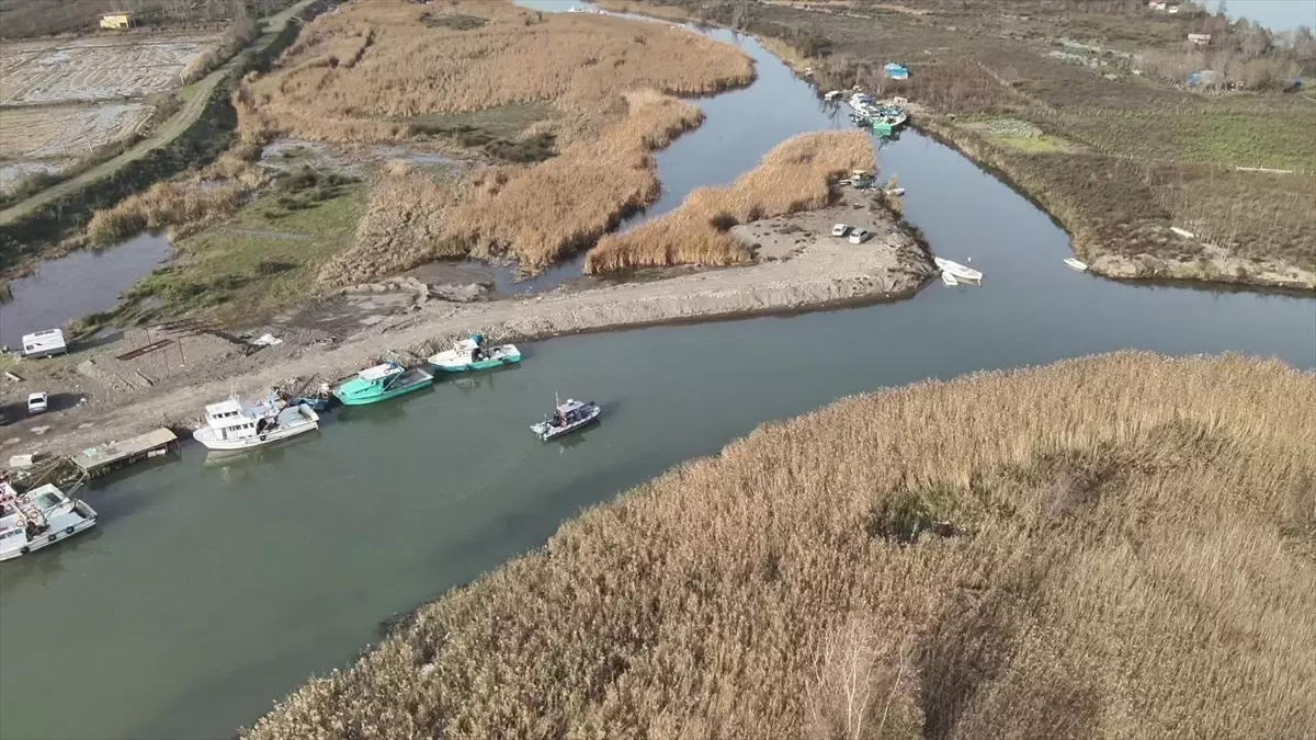 Samsun\'da Kaçak Kum Şırlanı Avcılığına Ceza