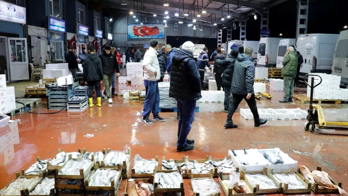 Ereğli ve Başiskele\'de Hamsi Dominasyonu