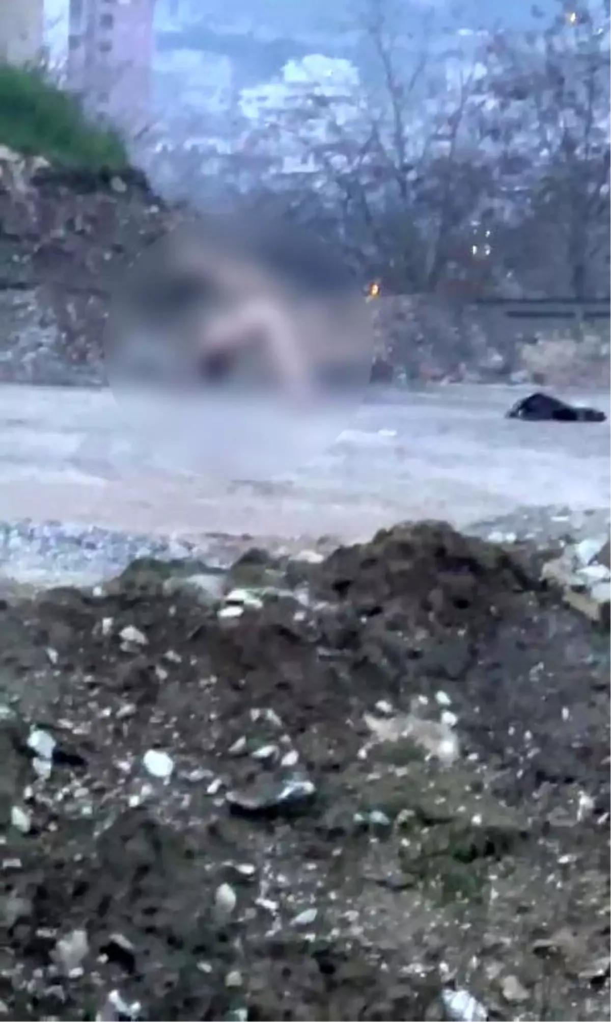 Köprü altında akıllara durgunluk veren görüntüler